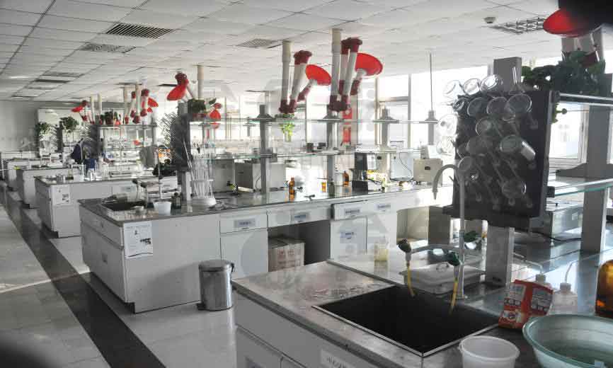 科技締造美麗(圖8) 科技締造美麗(圖8)