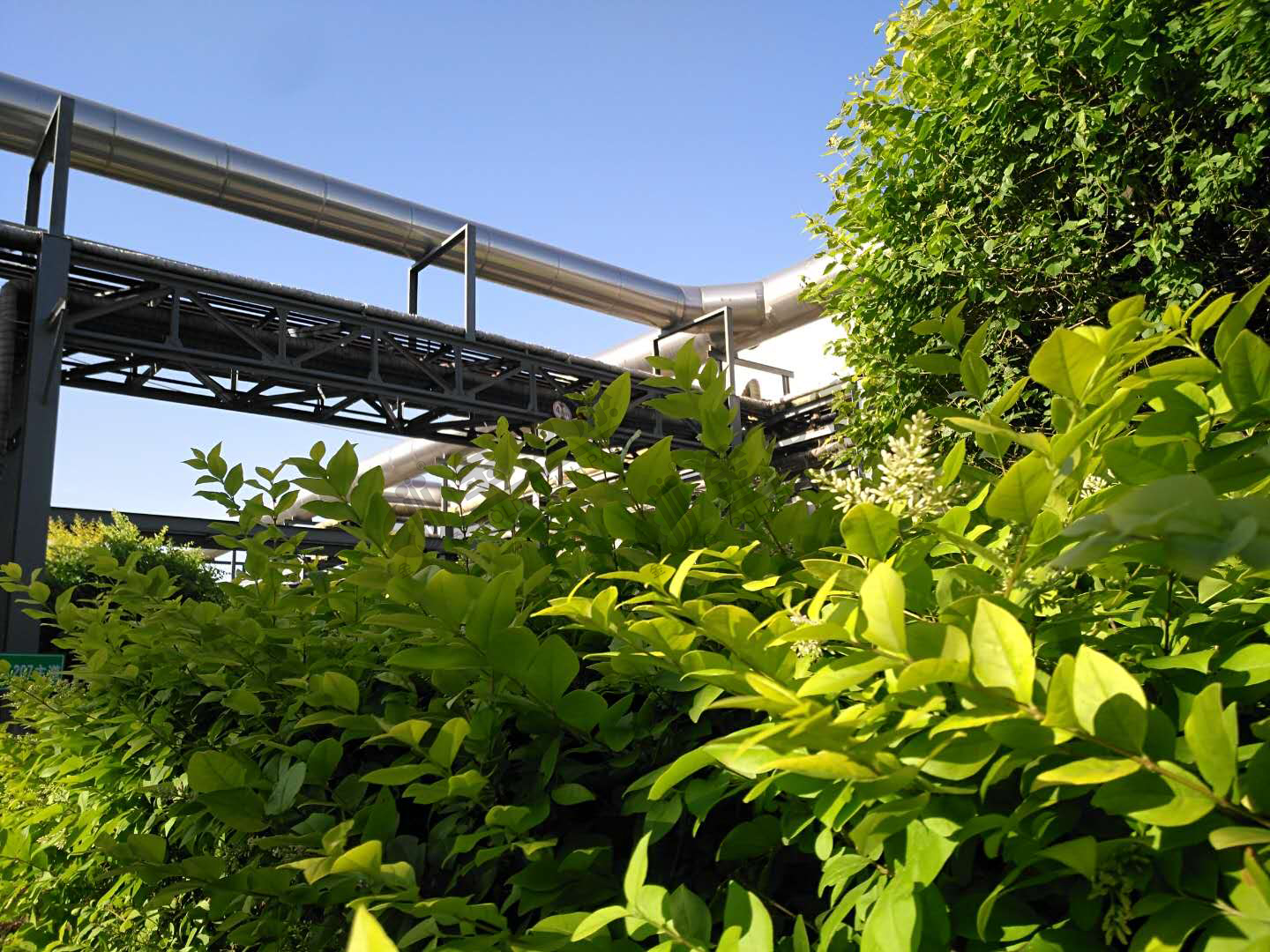 綠色花園工廠(圖5)