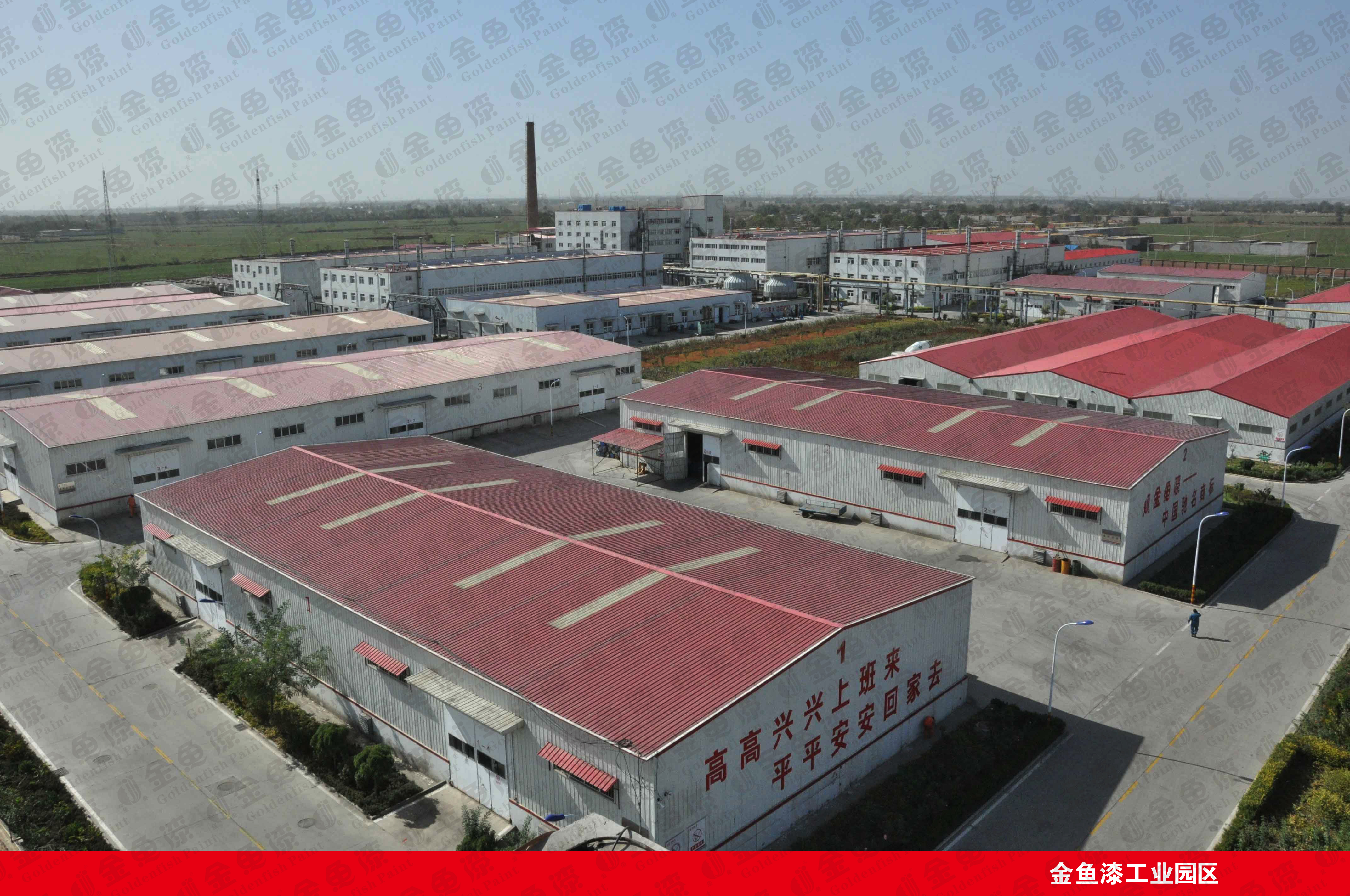 關(guān)于金魚(yú)(圖2) 關(guān)于金魚(yú)(圖2)